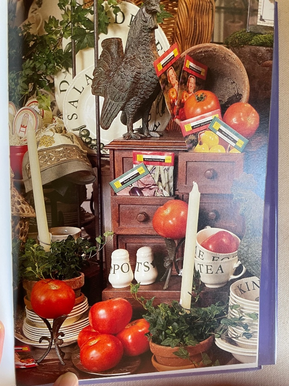 PRICE DROP! Shop of One's Own: Women Who Turned the Dream into Reality - Picture 12 of 16
